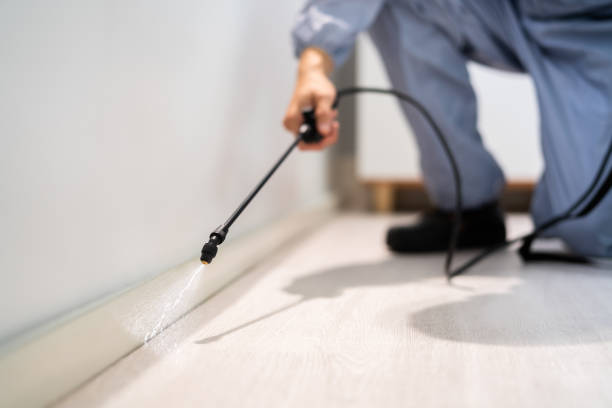 Bed Bug Pre-Treatment Preparation Assessment in De Queen