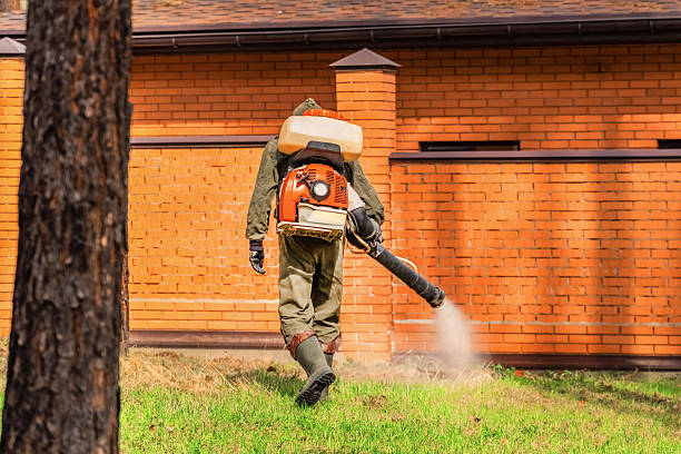Bed Bug Clearance Verification and Documentation in De Queen